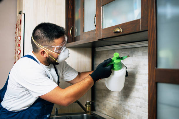 Best Pest Removal Services  in Hopwood, PA