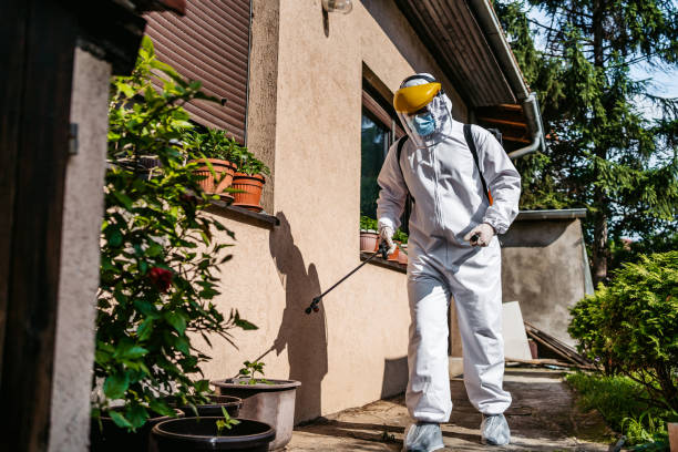 Best Rat Extermination Near Me  in Hopwood, PA