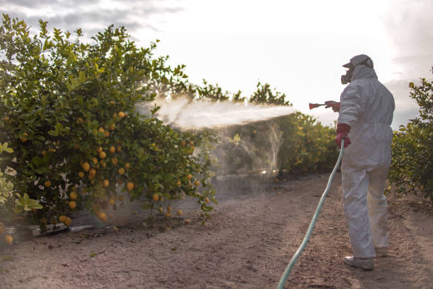 Best Wildlife Control Services  in Hopwood, PA