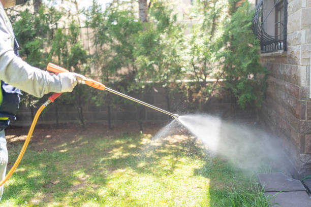 Best Flea Control Services  in Hopwood, PA
