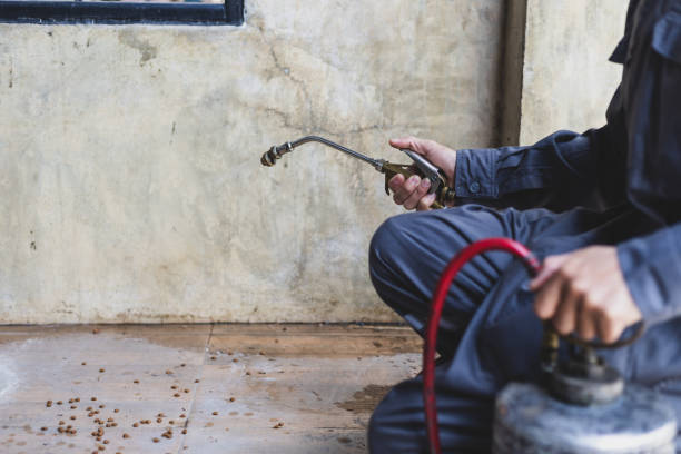 Professional Pest Control in Hopwood, PA