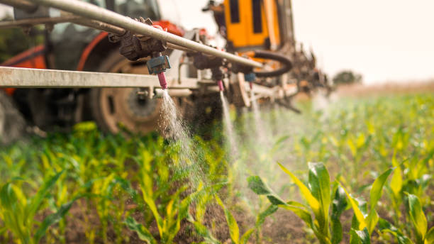 Pest Control Cost in Hopwood, PA