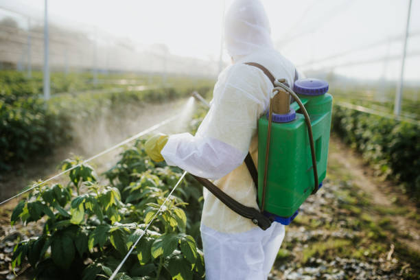 Best Residential Pest Control  in Hopwood, PA